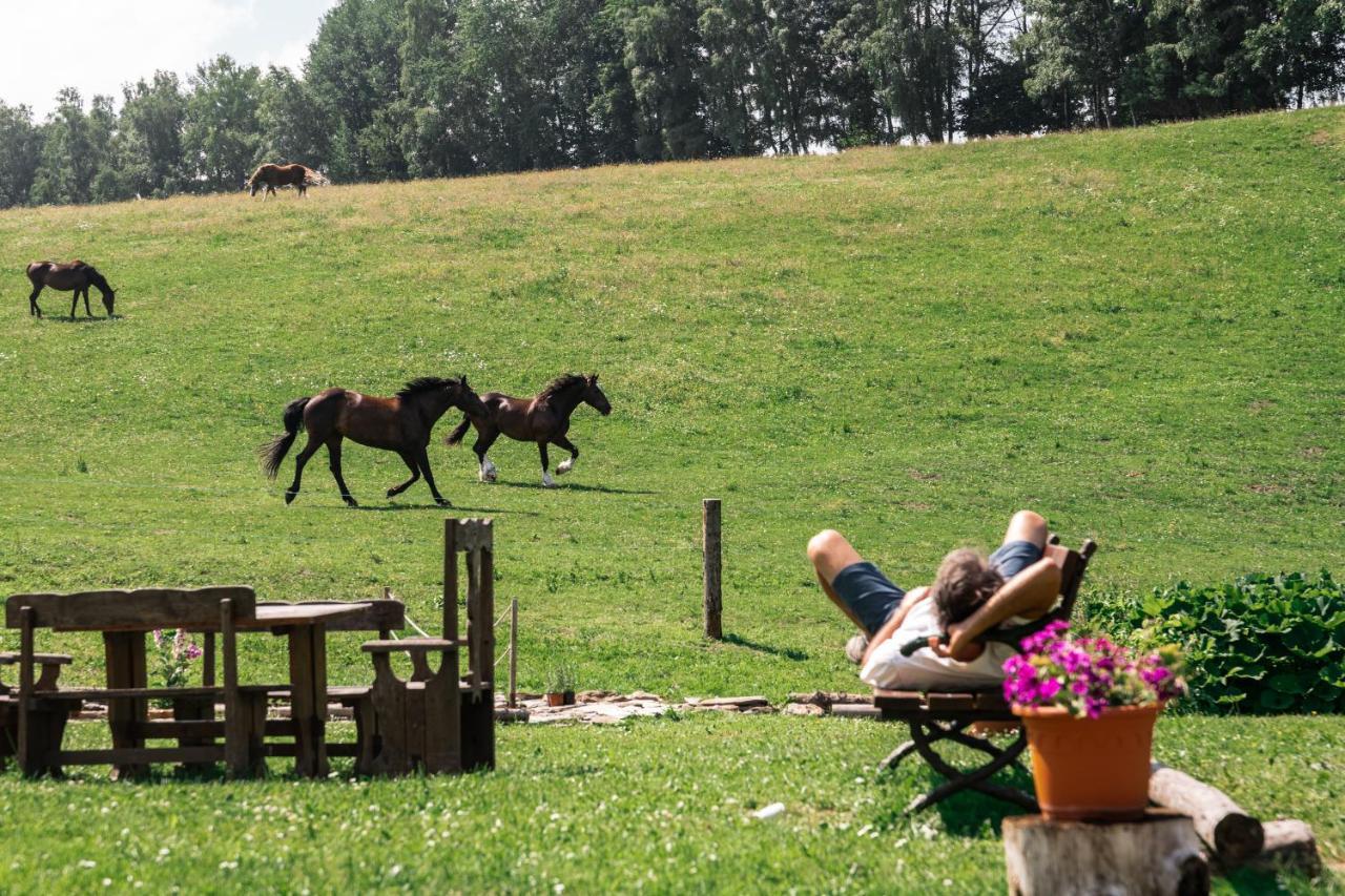 Penzion La Baita Branná Zewnętrze zdjęcie